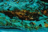 Polished Banded Chrysocolla Slice - Bagdad Mine, Arizona #378909-1